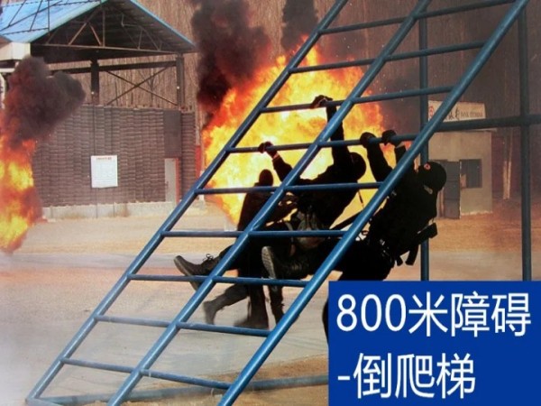 800障礙爬梯.jpg